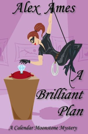 [Calendar Moonstone Mystery 01] • A Brilliant Plan